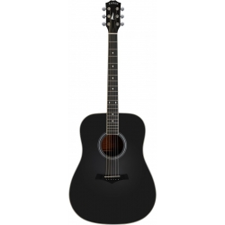 ARROW SILVER BLK gitara akustyczna