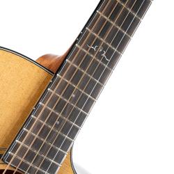 CORT GOLD A6