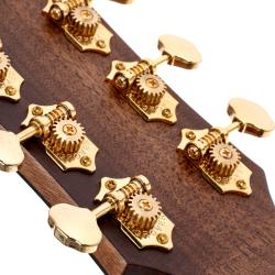 CORT GOLD A6