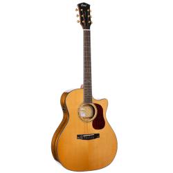 CORT GOLD A6 BOCOTE