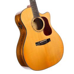 CORT GOLD A6 BOCOTE