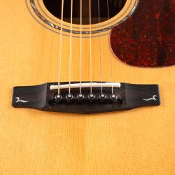 CORT GOLD A6 BOCOTE