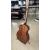 CORT GOLD OC6 gitara elektroakustyczna z futerałem