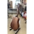 Cort AD MINI OPGM gitara akustyczna 3/4
