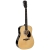 Nashville GSD-60E-NT gitara elektroakustyczna