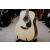 YAMAHA F-310 II NAT Gitara akustyczna