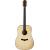 ARROW SILVER NT gitara akustyczna