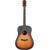 ARROW SILVER SB gitara akustyczna