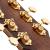 CORT GOLD A6