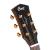 CORT GOLD A6 BOCOTE