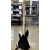 CORT ACTION BASS PLUS gitara basowa