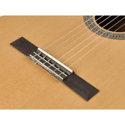 SALVADOR CORTEZ CS-234 gitara klasyczna 3/4