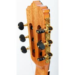 SEGOVIA CG-100C gitara klasyczna lity cedr