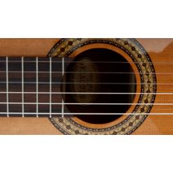 SEGOVIA CG-100C gitara klasyczna lity cedr