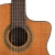 Salvador Cortez CC-10 CE gitara elektroklasyczna