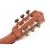 Salvador Cortez CC-10 CE gitara elektroklasyczna