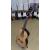SUZUKI SCG-2S NL gitara klasyczna 4/4