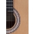 Prodipe Guitars Primera 4/4 - gitara klasyczna