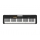 CASIO CT-S100 Keyboard