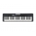 CASIO CT-S300 Keyboard organy