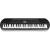CASIO SA-81 keyboard dla dzieci
