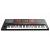 KORG PA700 Keyboard aranżer + pedał sustain + style