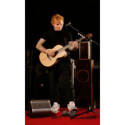 Alto Professional Sheeran Busker - kolumna aktywna