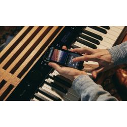 CASIO PX-S3100 pianino cyfrowe z aranżerem