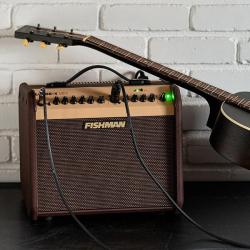 FISHMAN LOUDBOX MINI Bluetooth