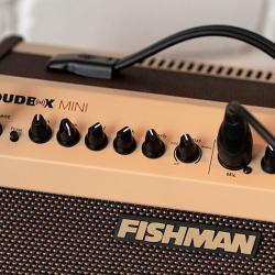 FISHMAN LOUDBOX MINI Bluetooth