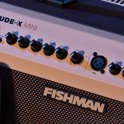 FISHMAN LOUDBOX MINI Bluetooth