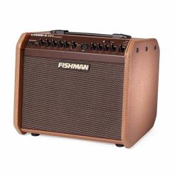 FISHMAN LOUDBOX MINI CHARGE