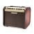 FISHMAN LOUDBOX MINI Bluetooth