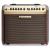 FISHMAN LOUDBOX MINI Bluetooth