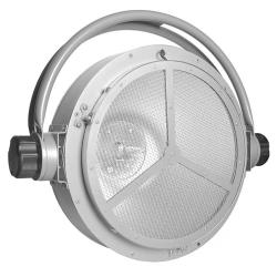 EVOLIGHTS-7