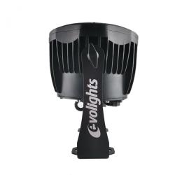 EVOLIGHTS-5