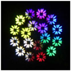 EVOLIGHTS-7