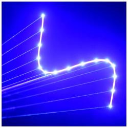 EVOLIGHTS-2